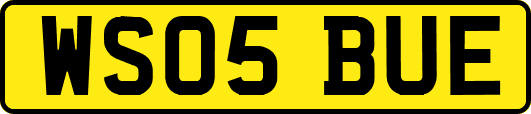 WS05BUE