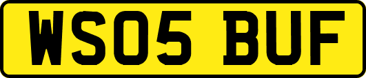 WS05BUF