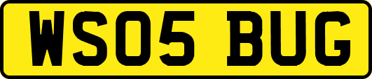 WS05BUG