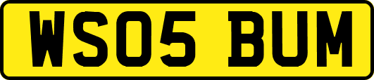 WS05BUM