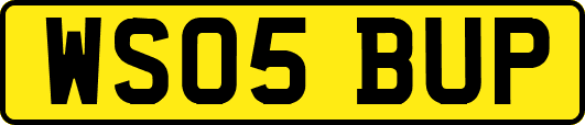 WS05BUP