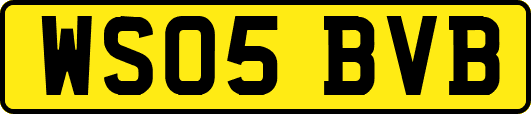 WS05BVB