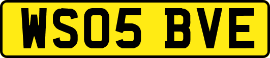 WS05BVE