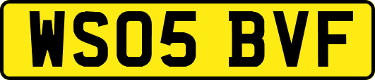 WS05BVF