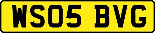 WS05BVG