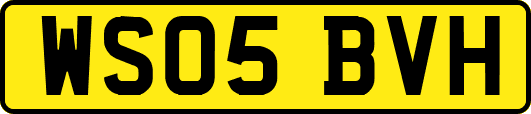 WS05BVH