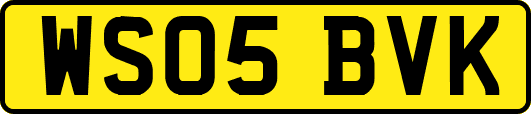 WS05BVK