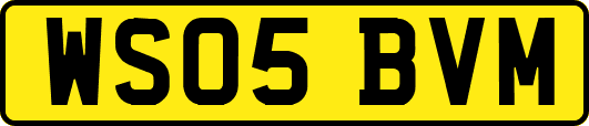 WS05BVM