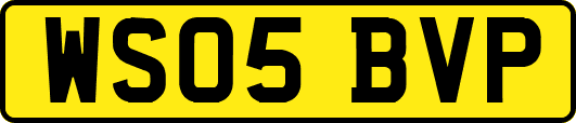 WS05BVP