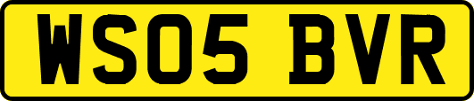 WS05BVR