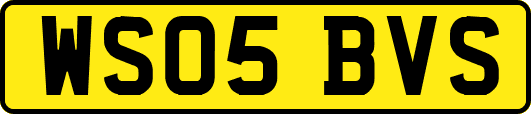 WS05BVS