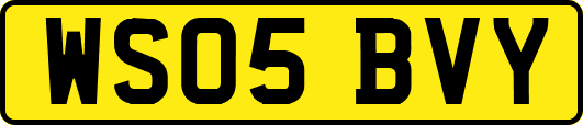 WS05BVY