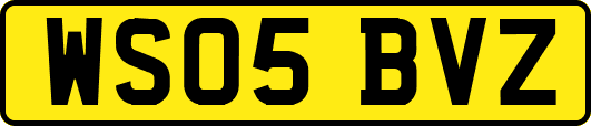 WS05BVZ