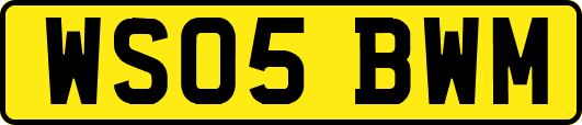 WS05BWM