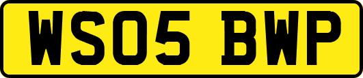 WS05BWP