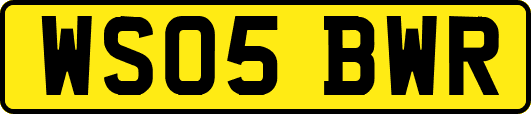 WS05BWR