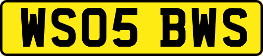 WS05BWS