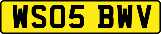 WS05BWV