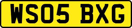WS05BXG
