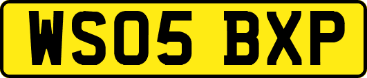 WS05BXP
