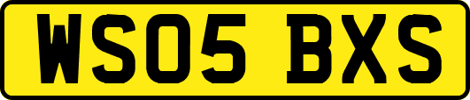 WS05BXS