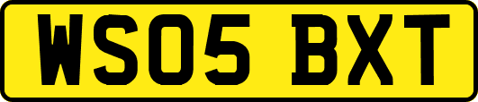 WS05BXT