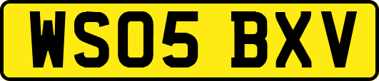 WS05BXV