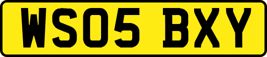 WS05BXY