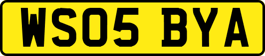 WS05BYA