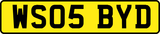 WS05BYD