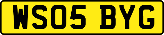 WS05BYG