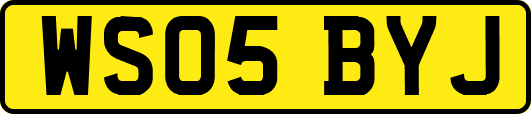WS05BYJ