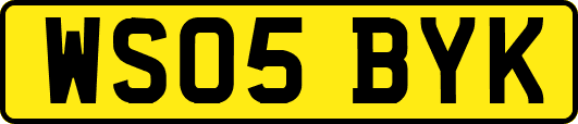 WS05BYK