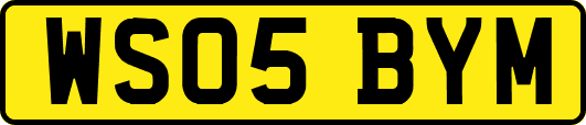 WS05BYM