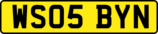 WS05BYN