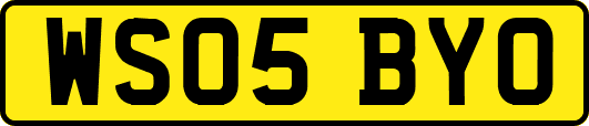 WS05BYO