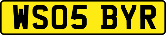 WS05BYR