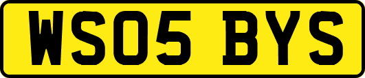 WS05BYS