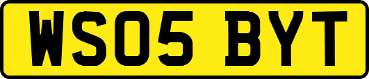WS05BYT