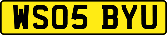WS05BYU
