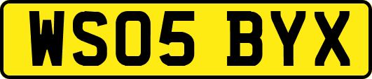 WS05BYX