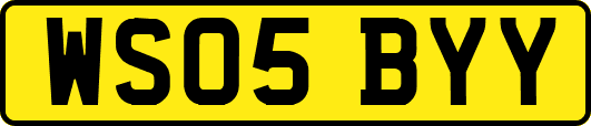 WS05BYY