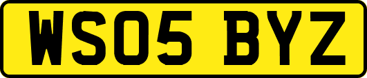 WS05BYZ
