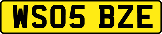WS05BZE