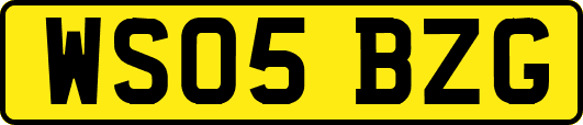 WS05BZG