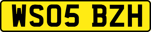 WS05BZH