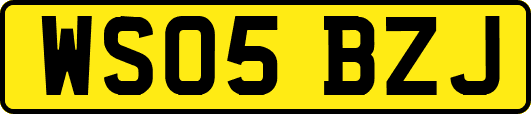 WS05BZJ