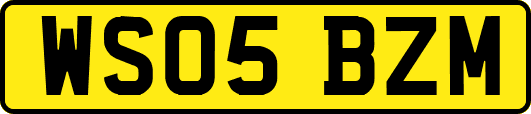 WS05BZM