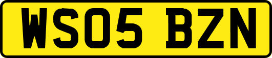 WS05BZN