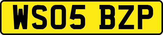 WS05BZP